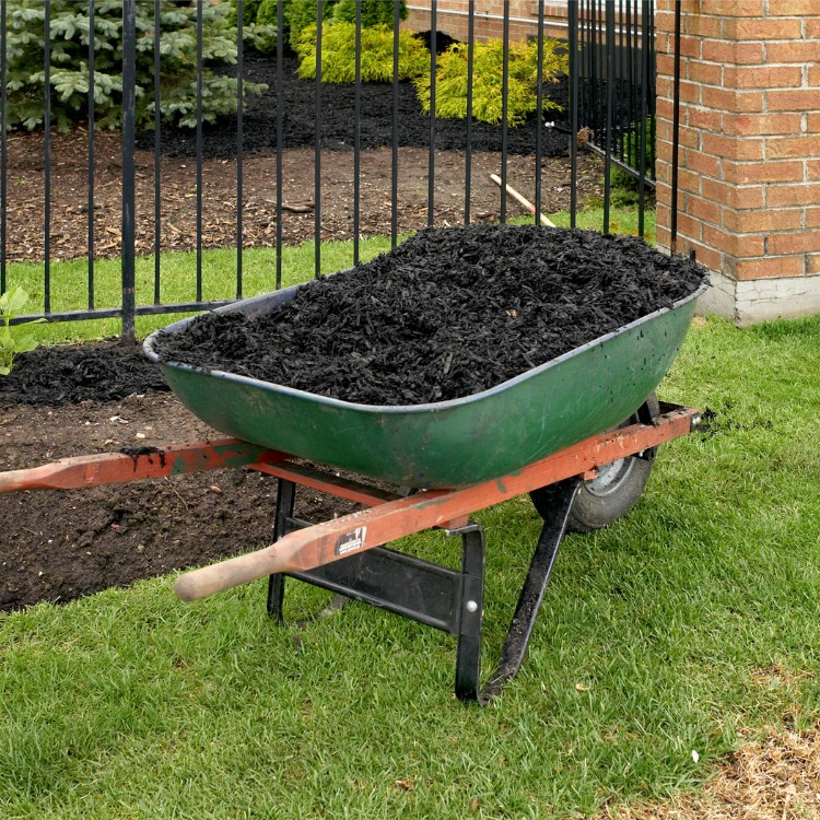 Land Management in Wise & Parker County TX