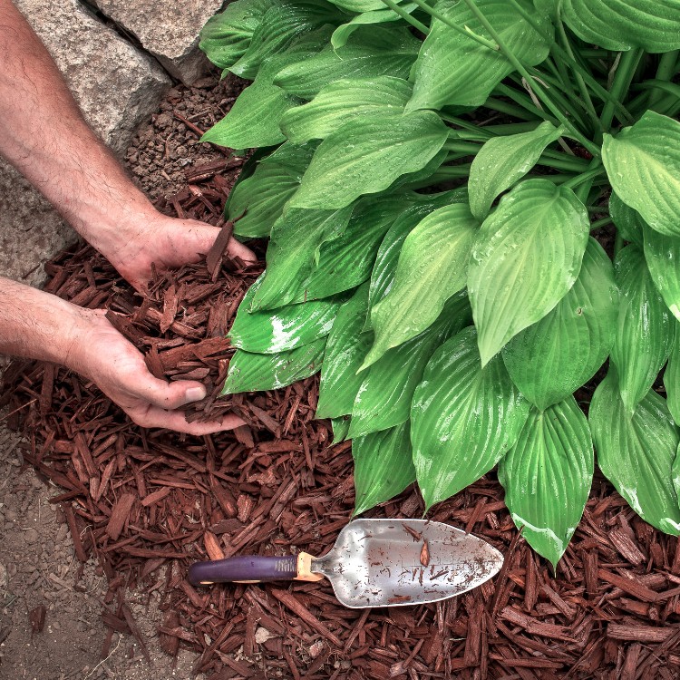 Land Management in Wise & Parker County TX