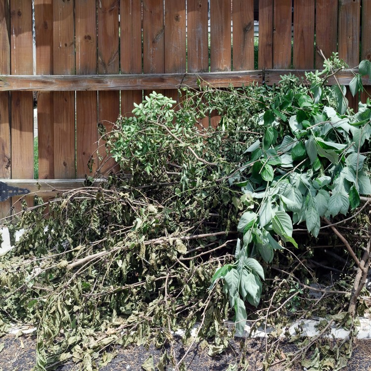 Land Management in Wise & Parker County TX